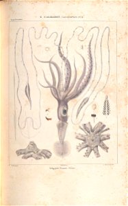 n258_w1150