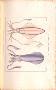 n198_w1150