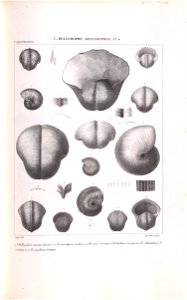 n108_w1150