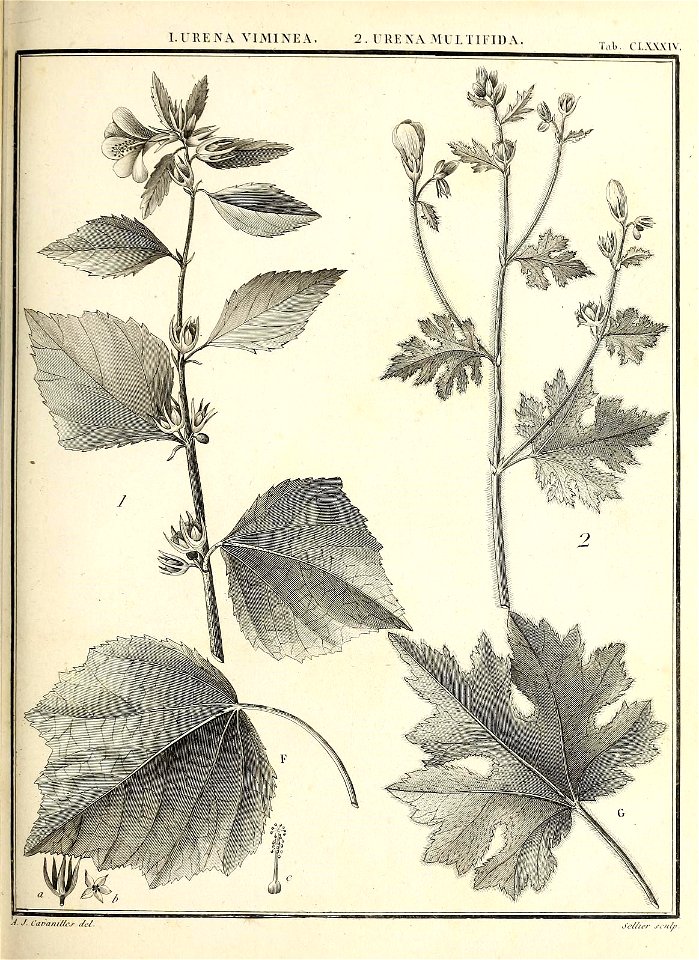 n110_w1150