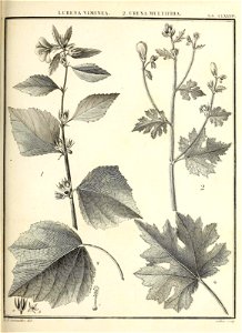 n110_w1150