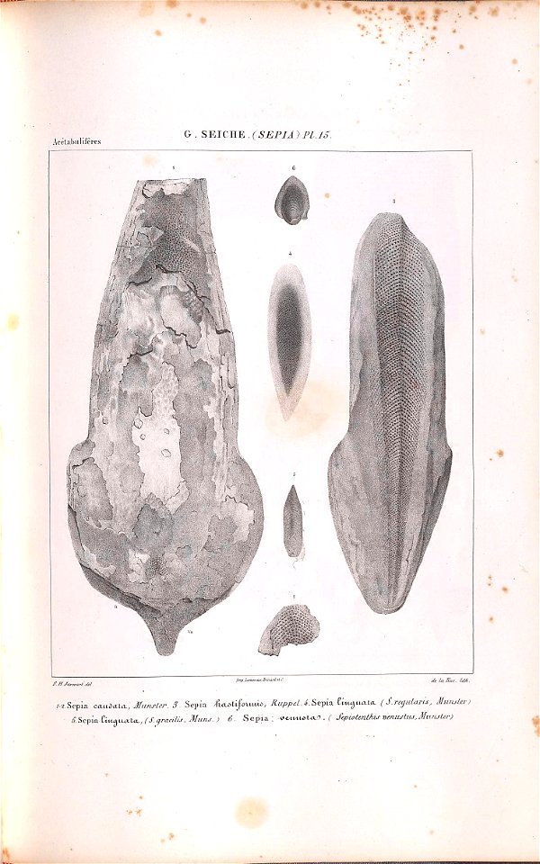 n166_w1150