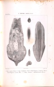n166_w1150