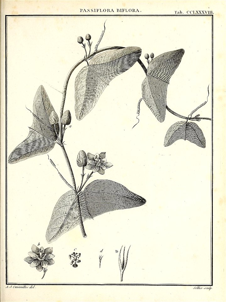 n434_w1150