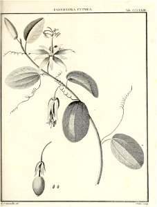 n404_w1150