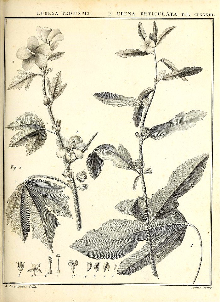 n108_w1150