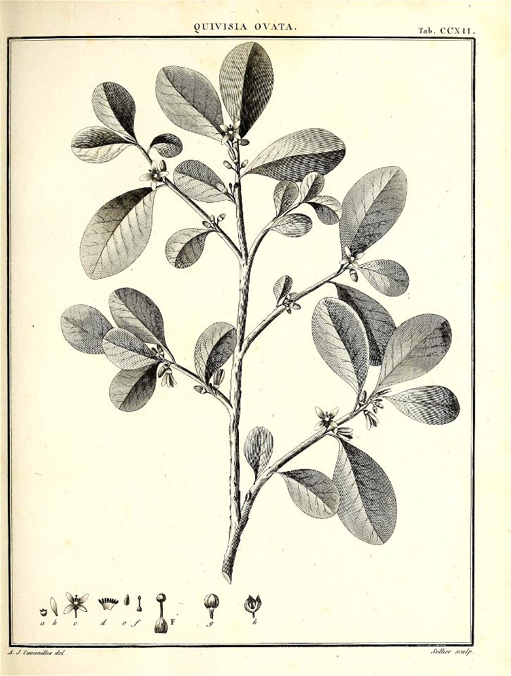 n166_w1150