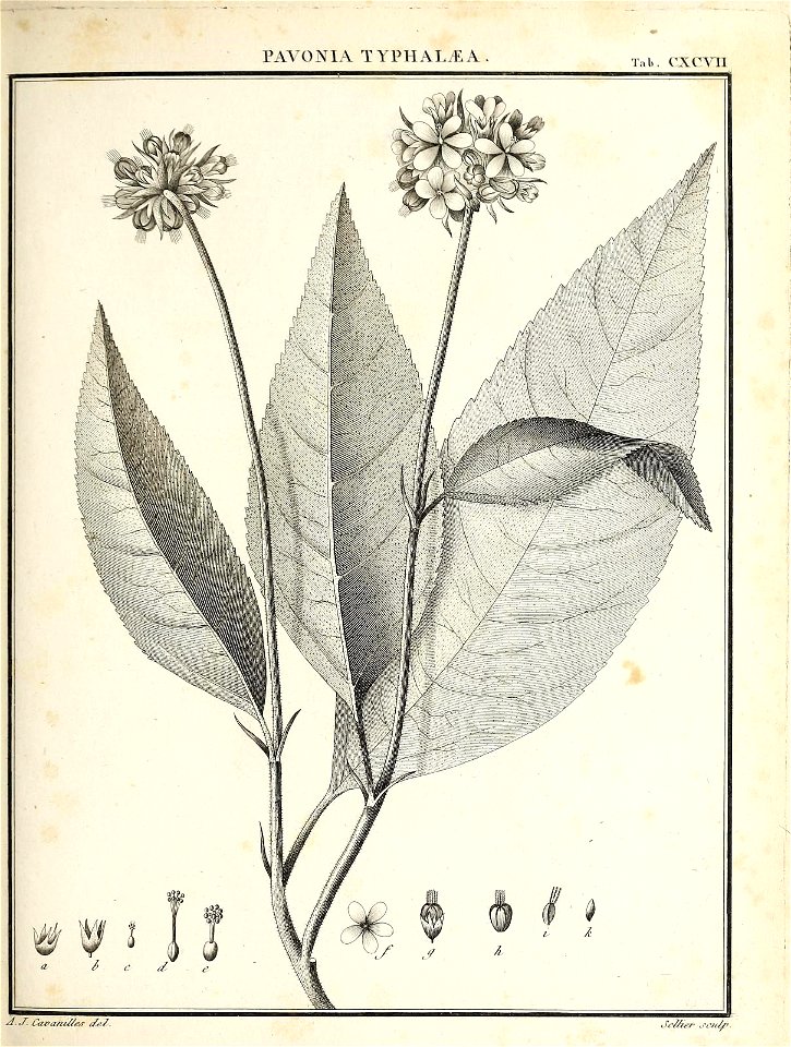 n136_w1150
