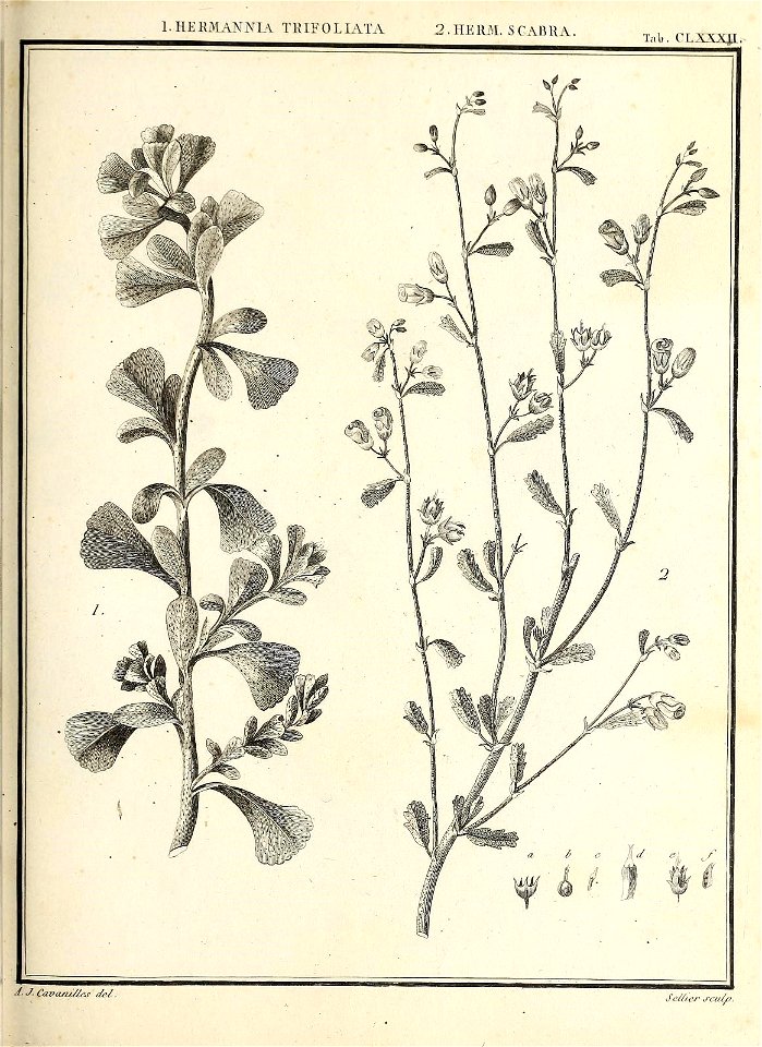n106_w1150