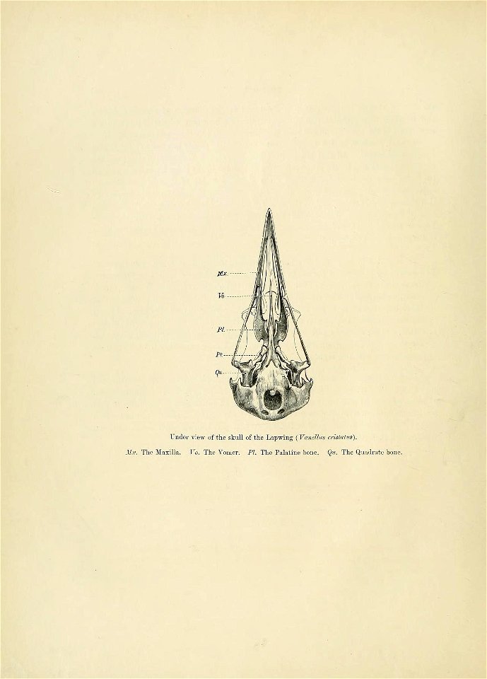 n17_w1150