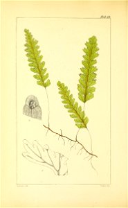 n235_w1150