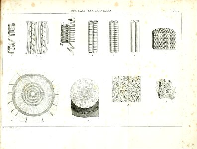 n680_w1150