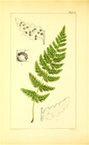 n231_w1150