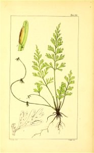 n409_w1150