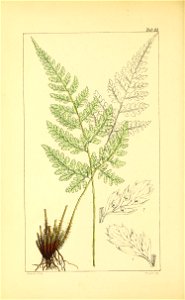n103_w1150