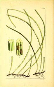 n401_w1150