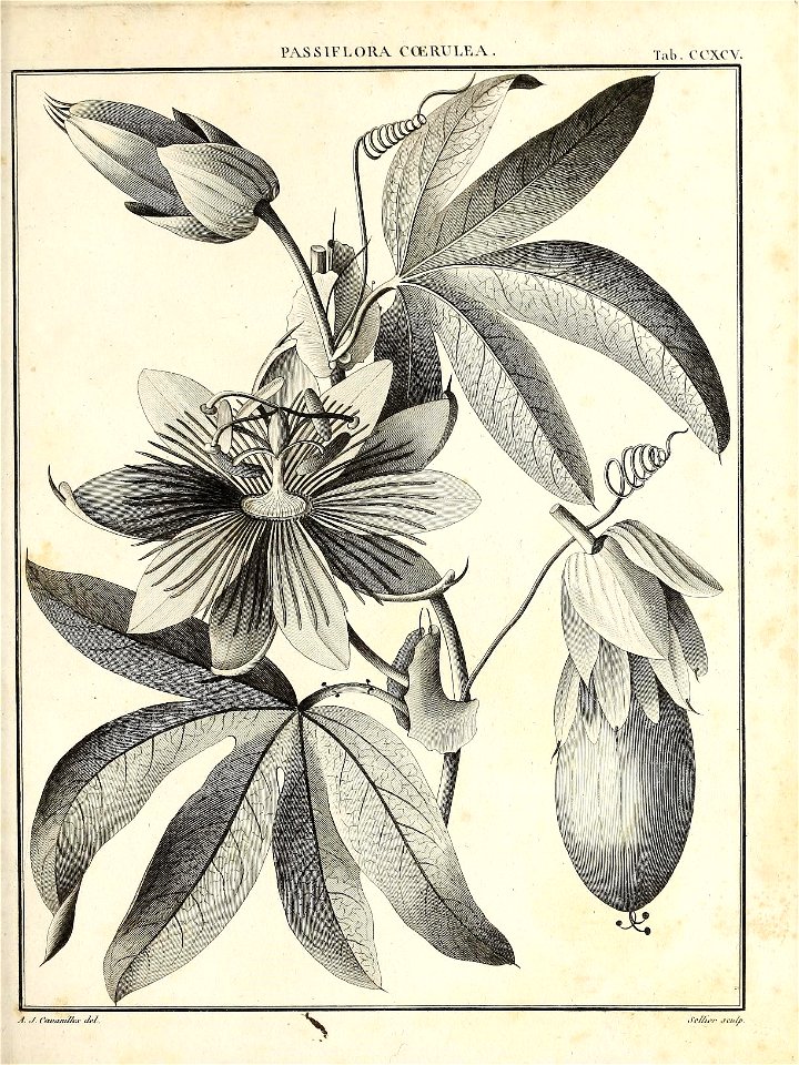 n448_w1150