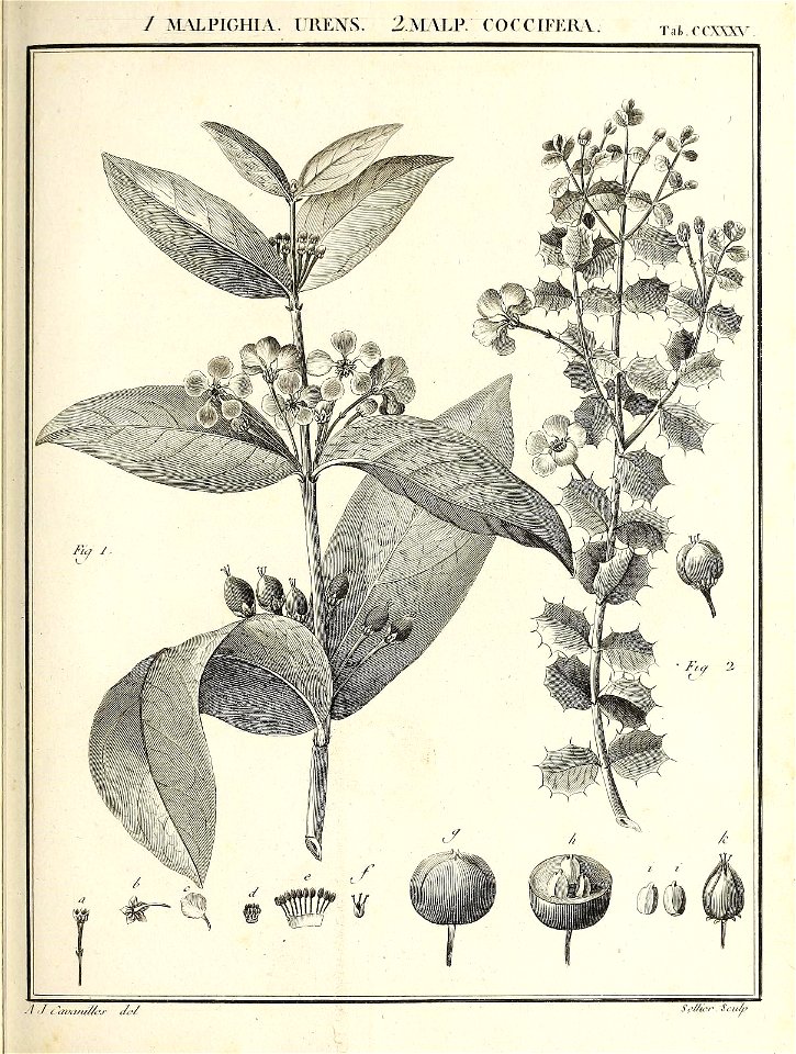 n276_w1150