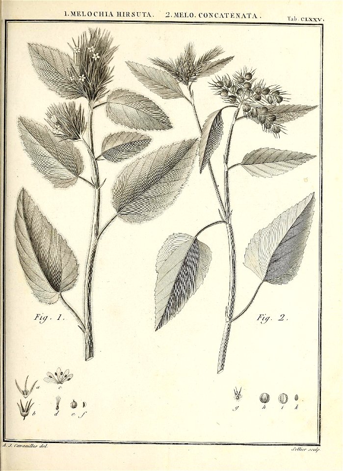n92_w1150