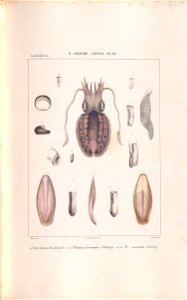 n176_w1150