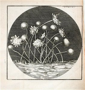 n68_w1150