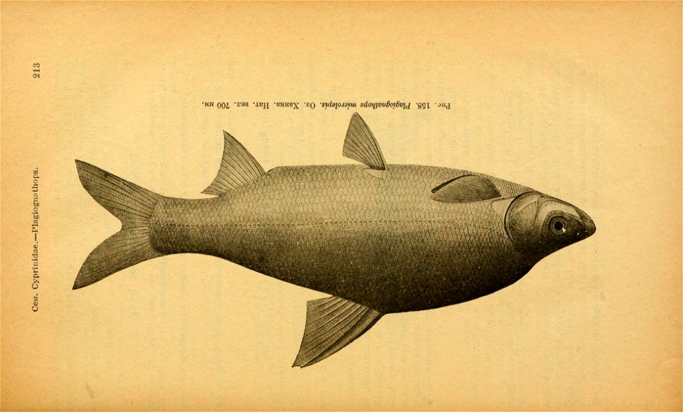 n248_w1150
