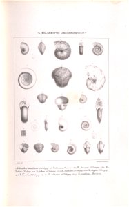 n114_w1150