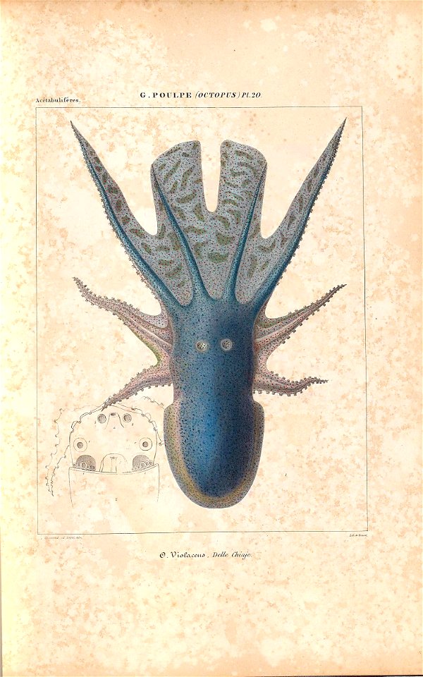 n54_w1150