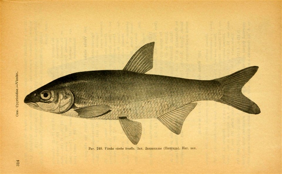 n349_w1150