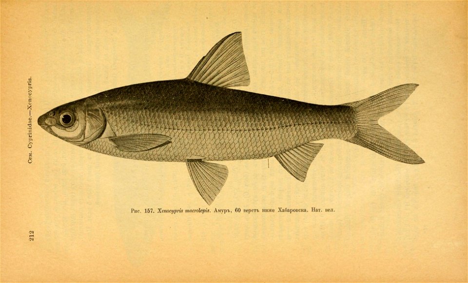n247_w1150