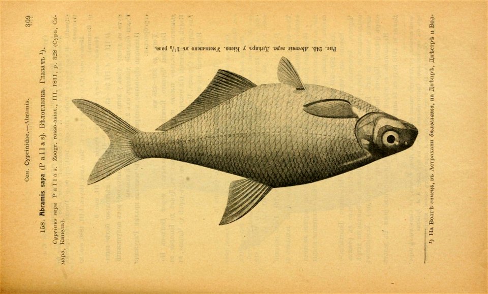 n344_w1150
