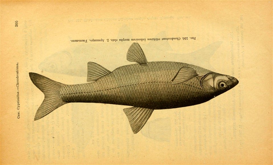 n240_w1150