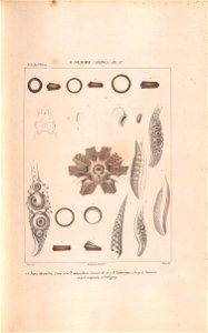 n170_w1150