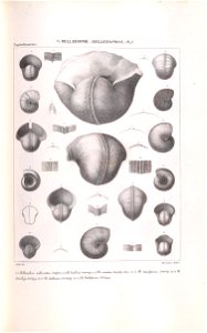 n110_w1150
