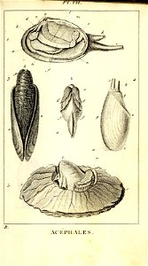 n404_w1150