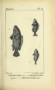 n190_w1150