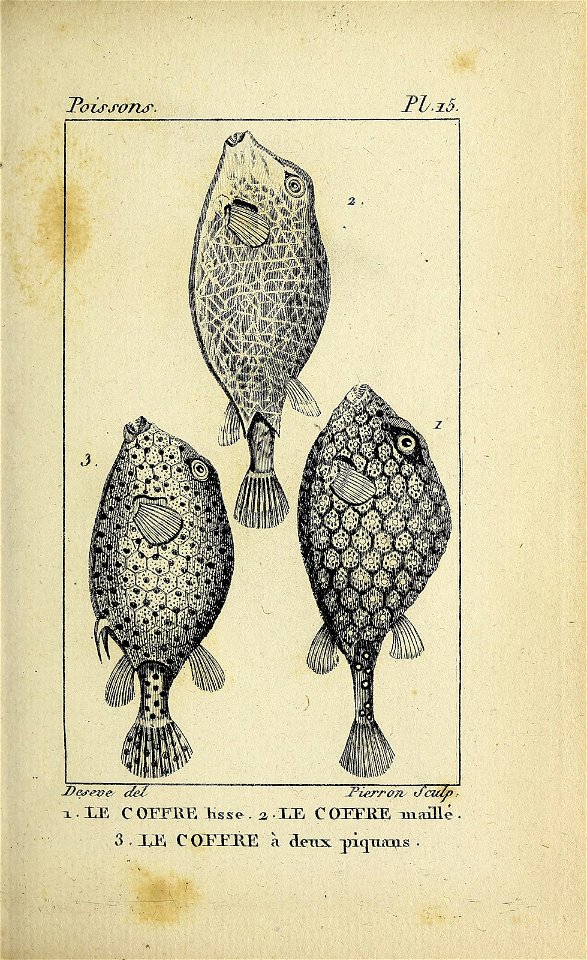 n68_w1150