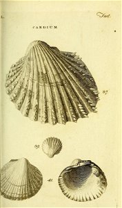 n282_w1150