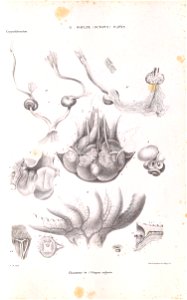 n44_w1150