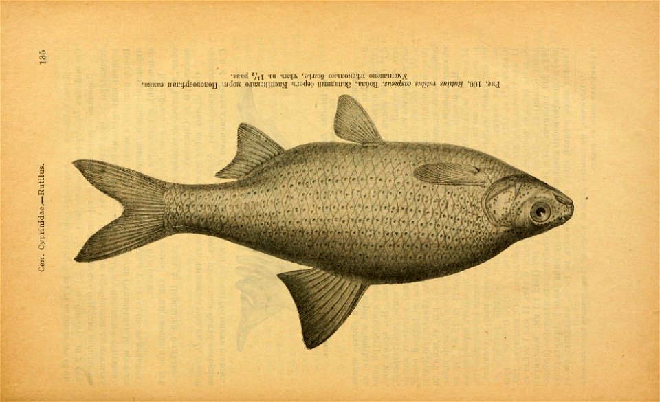 n170_w1150