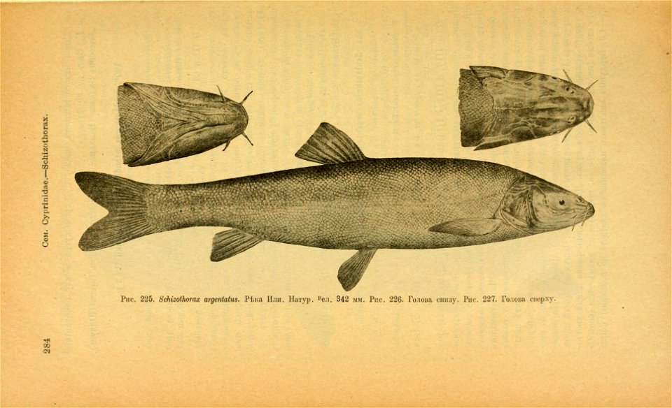 n319_w1150