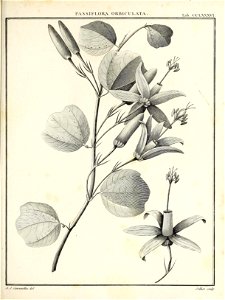 n430_w1150