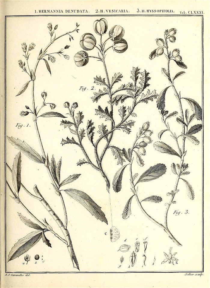 n104_w1150