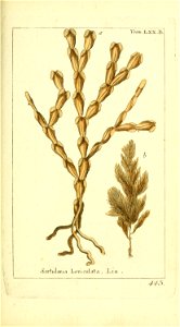 n50_w1150