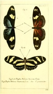 n16_w1150