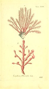 n46_w1150