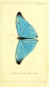 n12_w1150