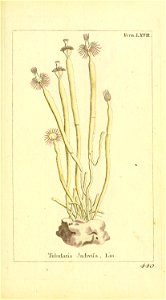 n44_w1150