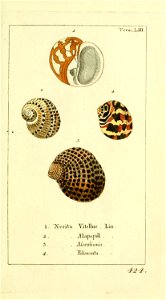 n14_w1150