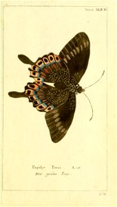 n10_w1150